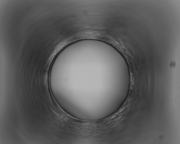 X0000094900099200711291033