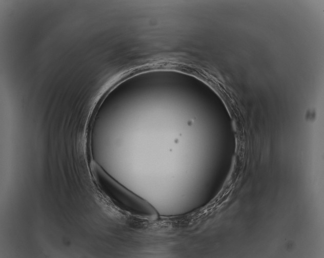 X0000094900100200711291033