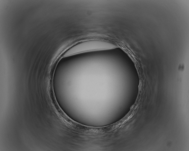 X0000094900101200711291033