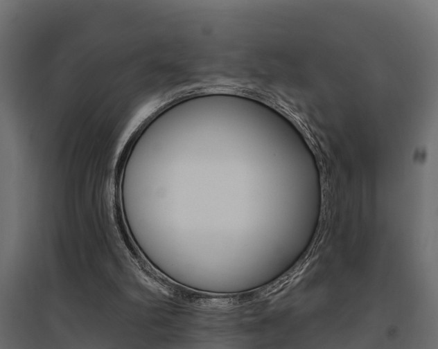 X0000094900102200711291033