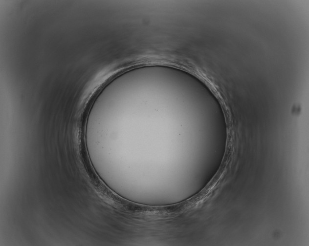 X0000094900103200711291033