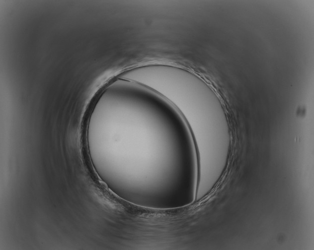 X0000094900104200711291033