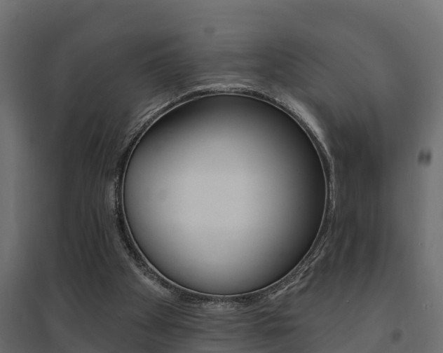 X0000094900105200711291033