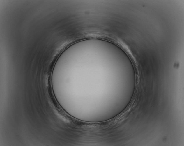X0000094900106200711291033