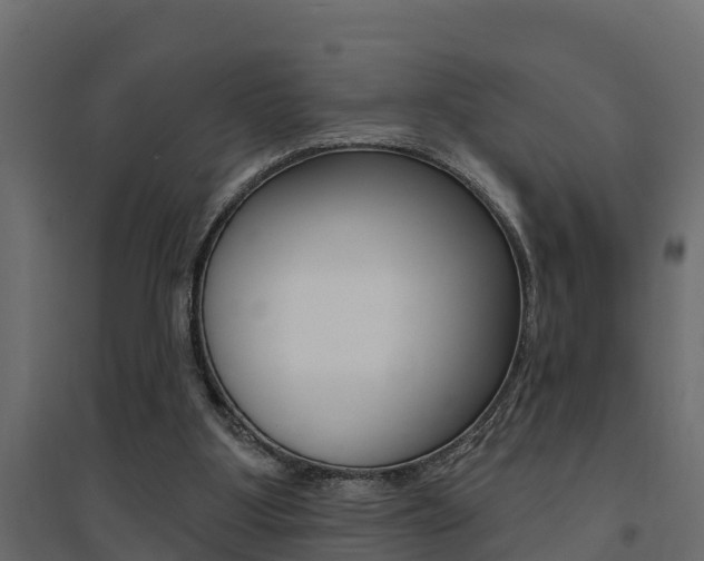 X0000094900107200711291033