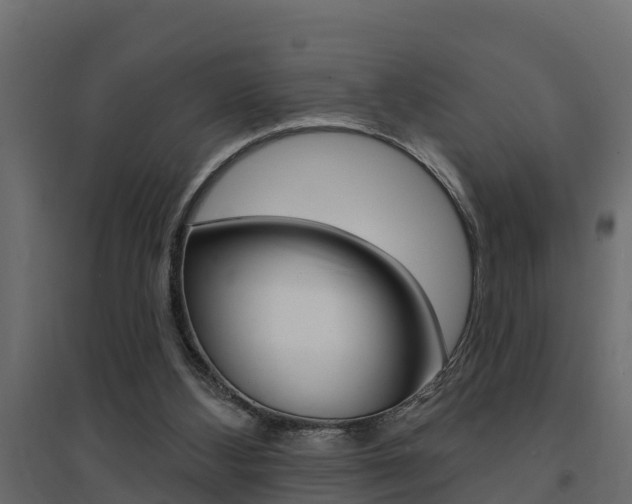 X0000094900108200711291033