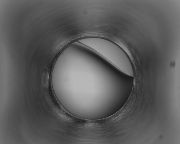 X0000094900109200711291033