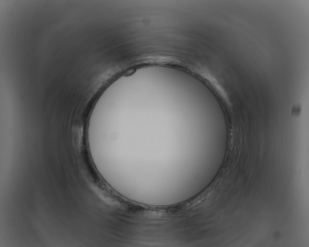 X0000094900110200711291033
