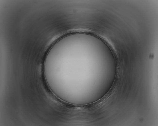 X0000094900111200711291033