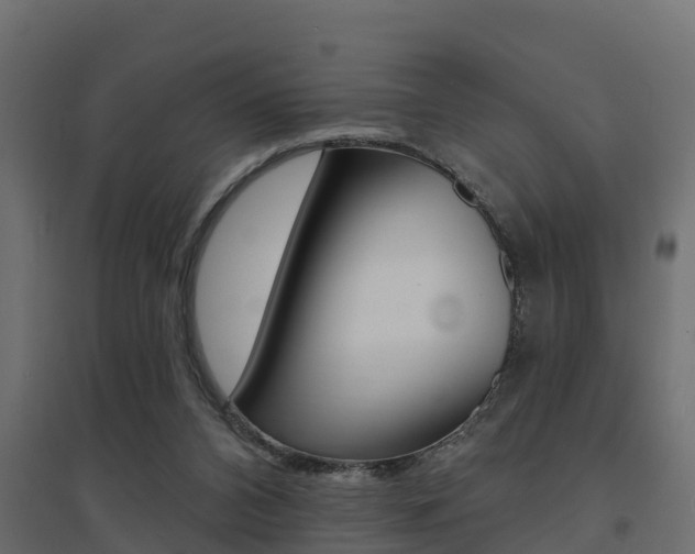 X0000094900112200711291033