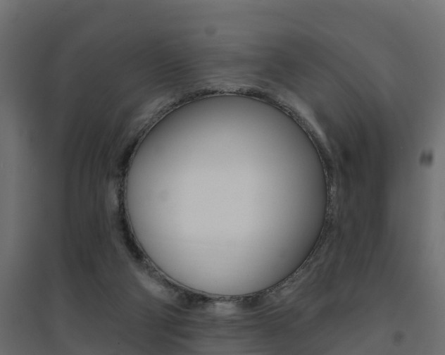 X0000094900114200711291033