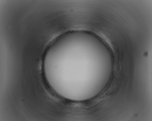 X0000094900115200711291033