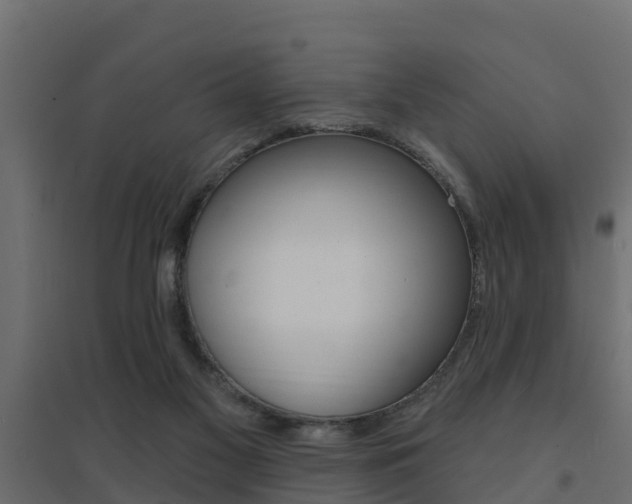 X0000094900117200711291033