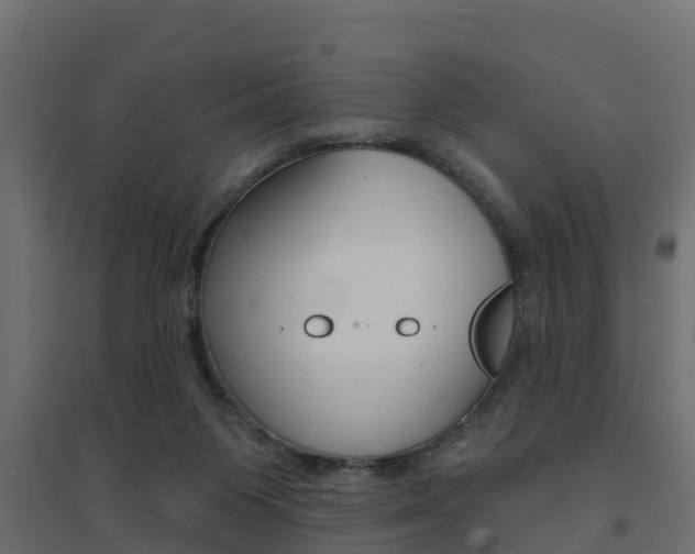 X0000094900119200711291032