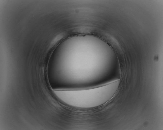 X0000094900120200711291032