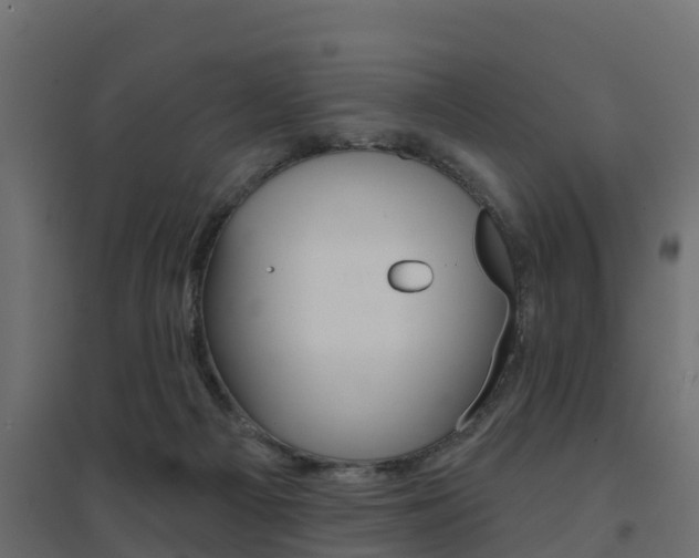 X0000094900121200711291032