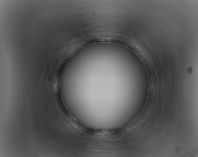 X0000094900125200711291032