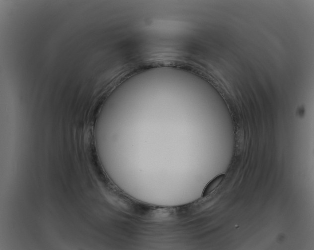 X0000094900126200711291032