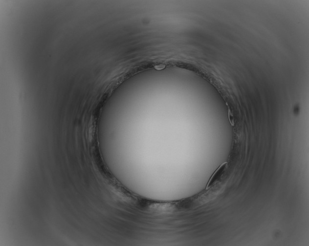 X0000094900133200711291032