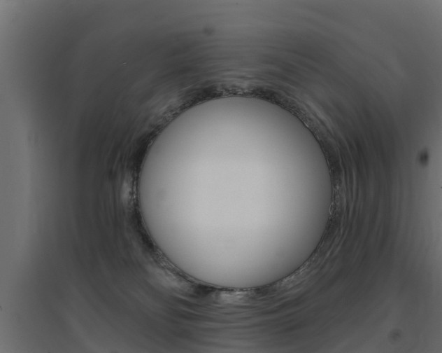 X0000094900134200711291032