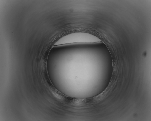X0000094900136200711291032
