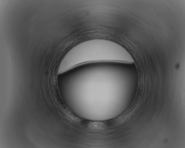 X0000094900137200711291032