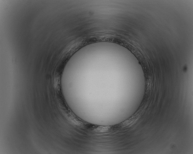 X0000094900138200711291032