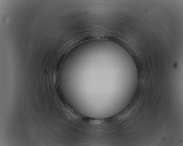 X0000094900139200711291032