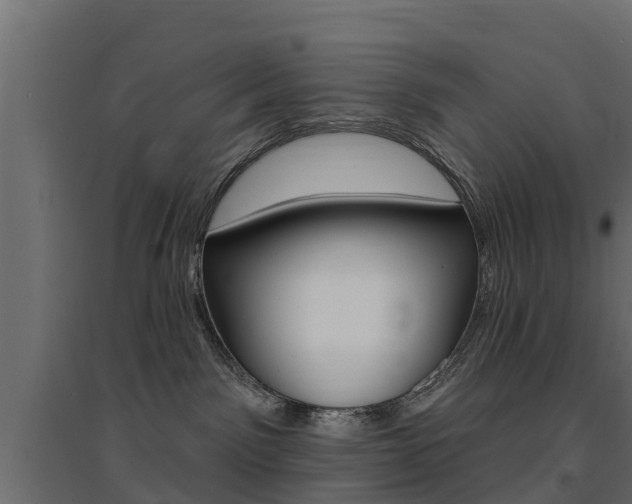 X0000094900141200711291032