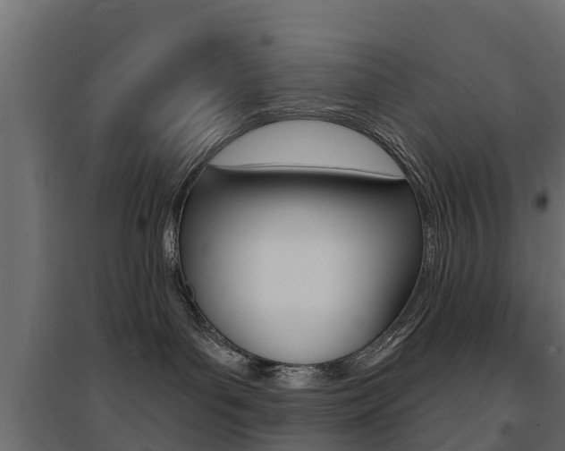 X0000094900143200711291032