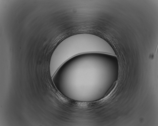 X0000094900144200711291032