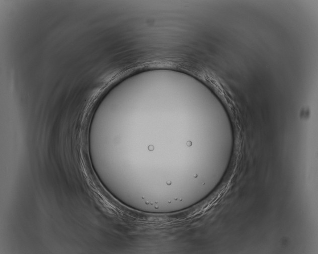 X0000094900145200711291031