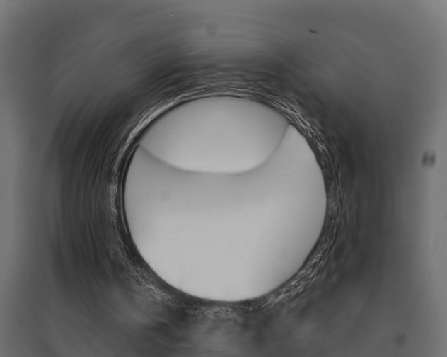 X0000094900146200711291031
