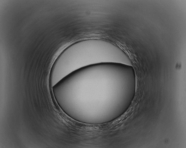 X0000094900147200711291031