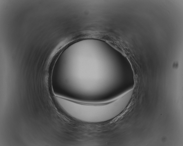X0000094900150200711291031