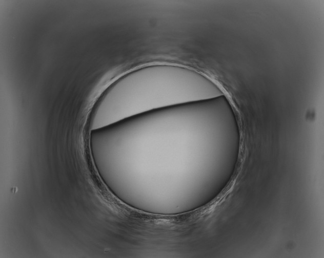 X0000094900151200711291031