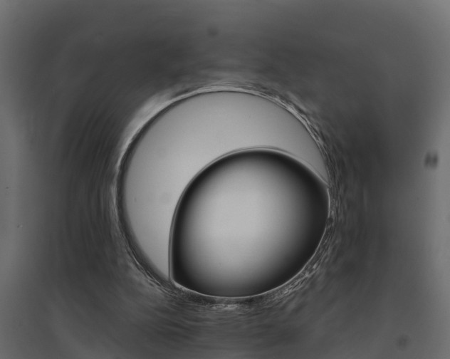 X0000094900152200711291031