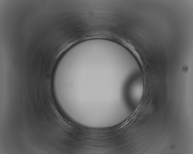 X0000094900154200711291031