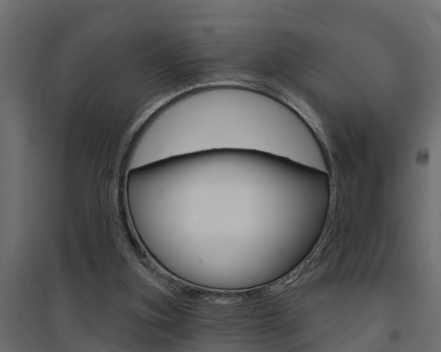 X0000094900155200711291031