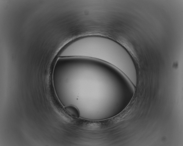 X0000094900156200711291031