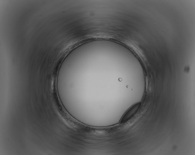 X0000094900157200711291031