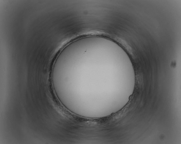 X0000094900159200711291032