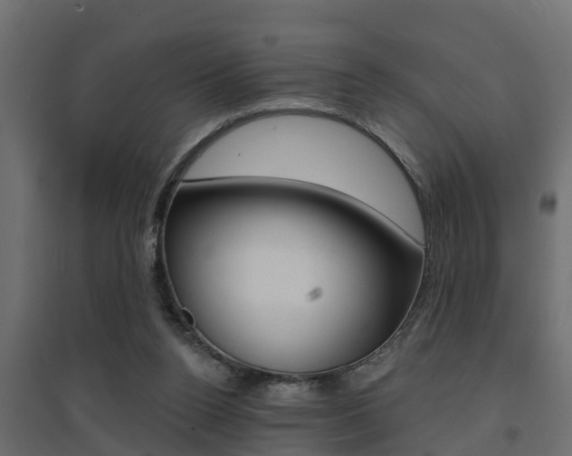 X0000094900160200711291032