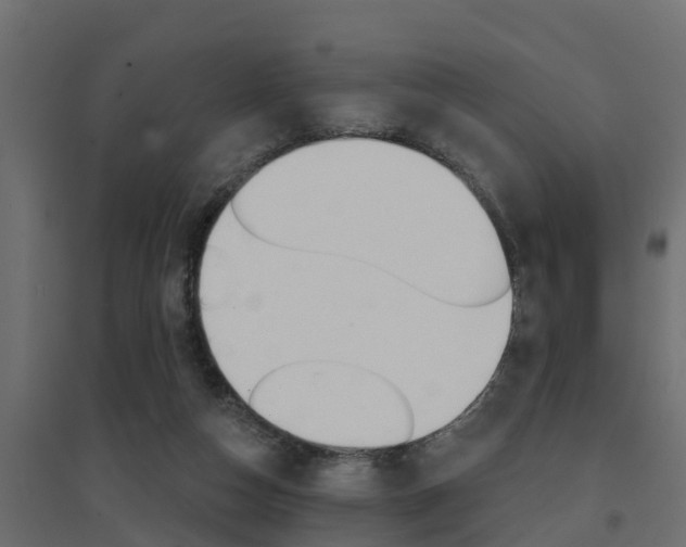 X0000094900162200711291032