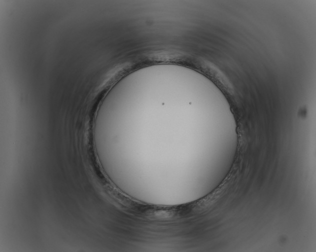 X0000094900163200711291032