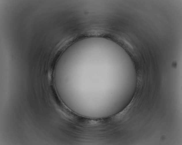 X0000094900166200711291032
