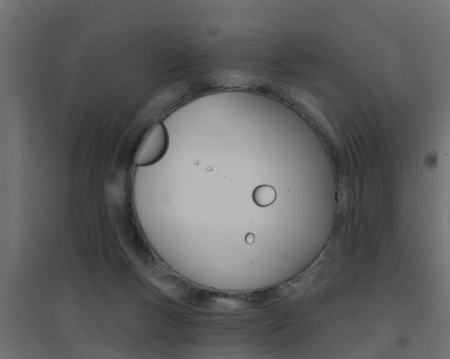 X0000094900167200711291032