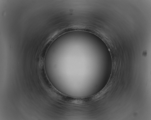 X0000094900168200711291032