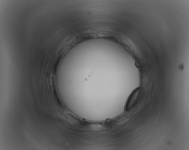 X0000094900169200711291032