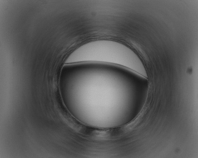 X0000094900170200711291032